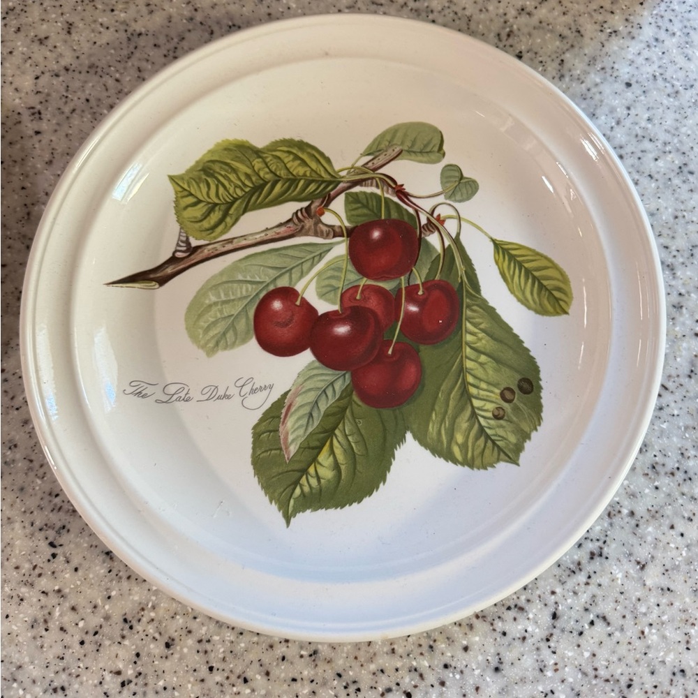 Portmeirion Pomona Cherry Dinner Plate 10.5" The Late Duke Cherry Vintage